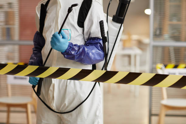 Professional Sewage Cleanup technician working in Abington, MA